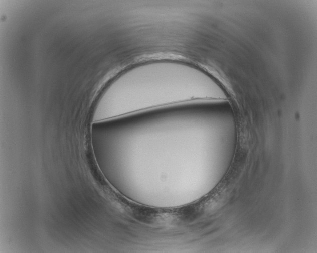 X0000072520111200607140947