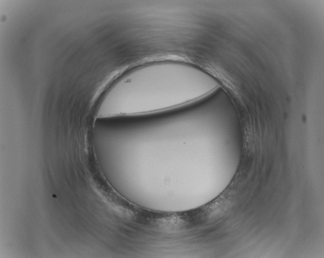 X0000072520112200607140947