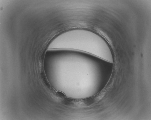 X0000072520113200607140947