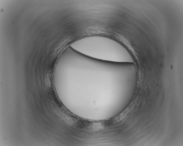 X0000072520114200607140947