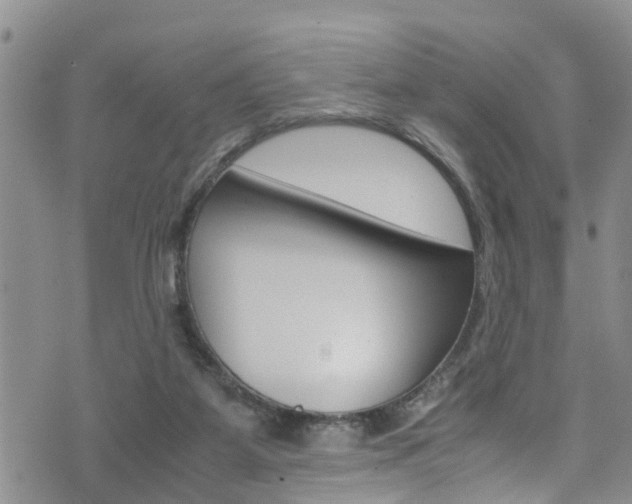 X0000072520115200607140947