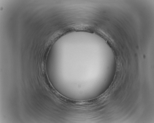 X0000072520117200607140947