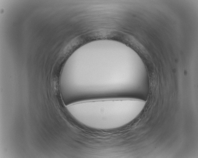 X0000072520119200607140947