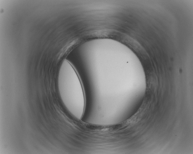 X0000072520120200607140947