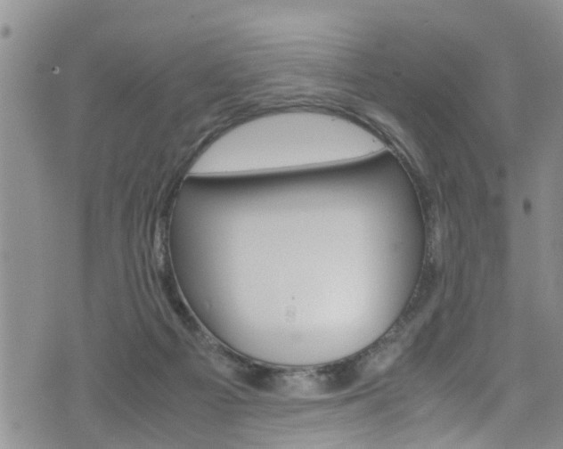 X0000072520121200607140947