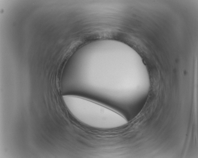 X0000072520123200607140947