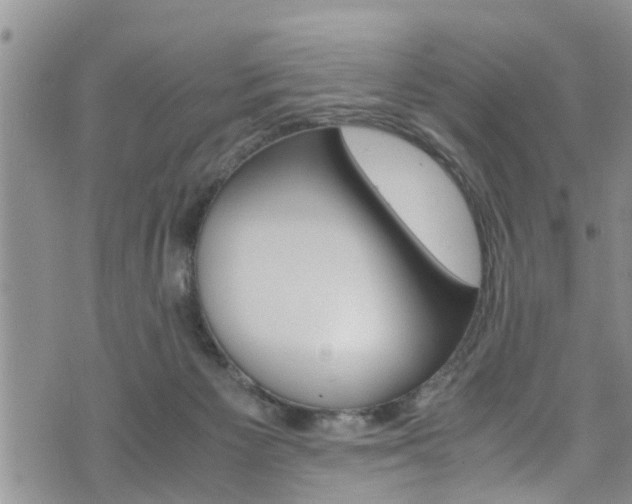 X0000072520125200607140947