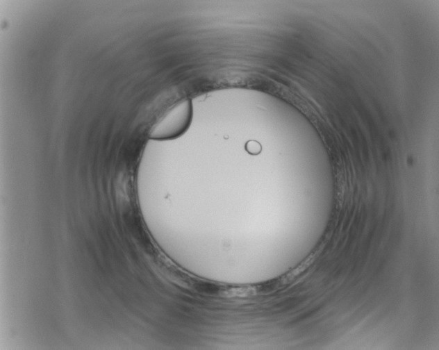 X0000072520126200607140947