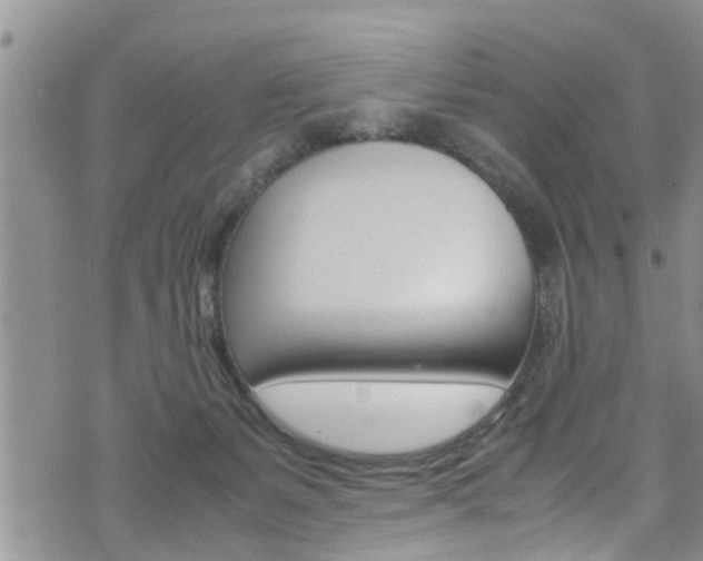 X0000072520127200607140947