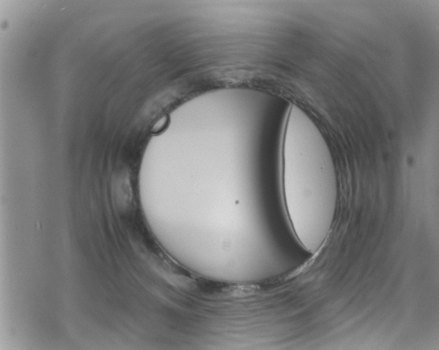 X0000072520128200607140947