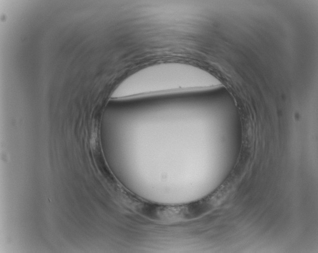 X0000072520129200607140947