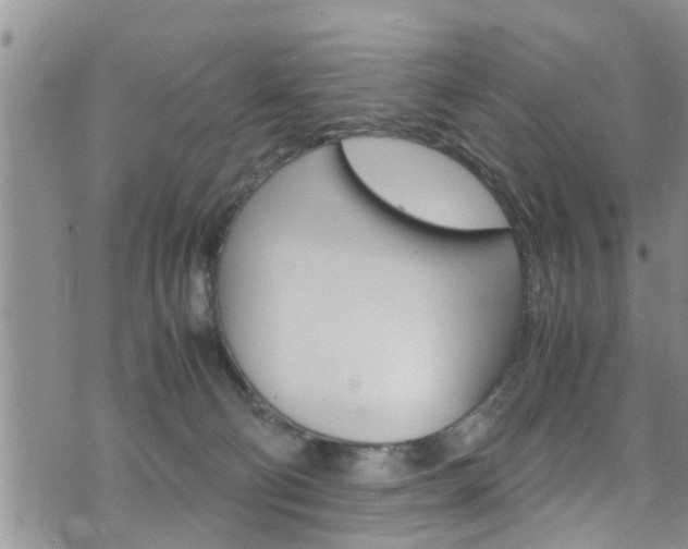 X0000072520130200607140947