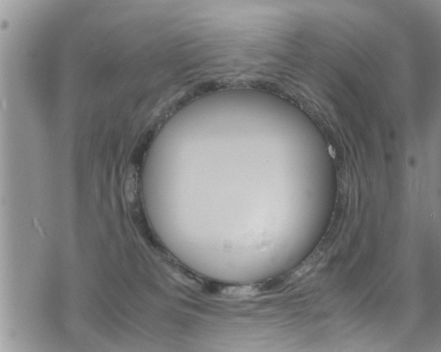 X0000072520133200607140947