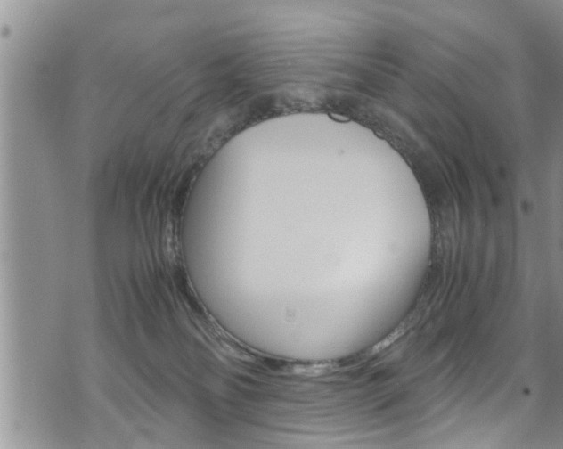 X0000072520134200607140947