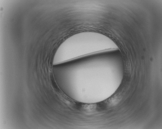 X0000072520135200607140947