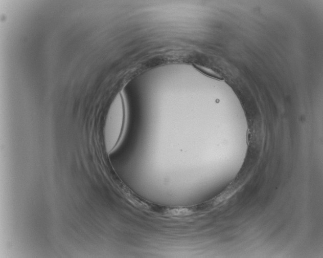 X0000072520137200607140947