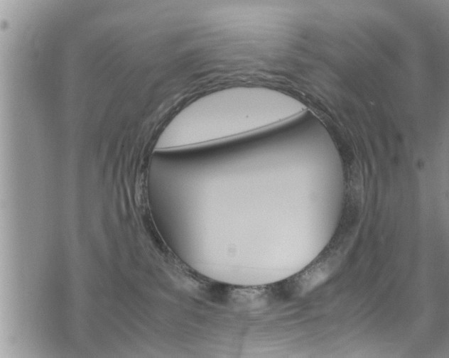 X0000072520139200607140947