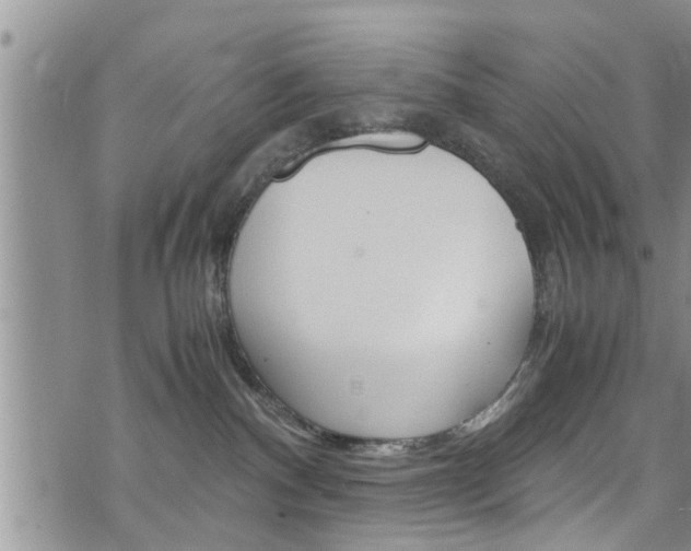 X0000072520140200607140947