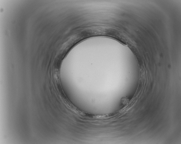 X0000072520141200607140947