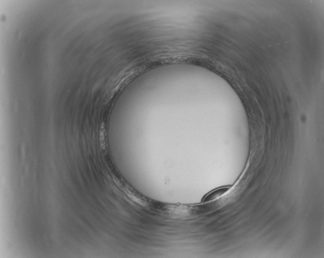 X0000072520144200607140946