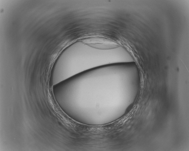 X0000072520145200607140946