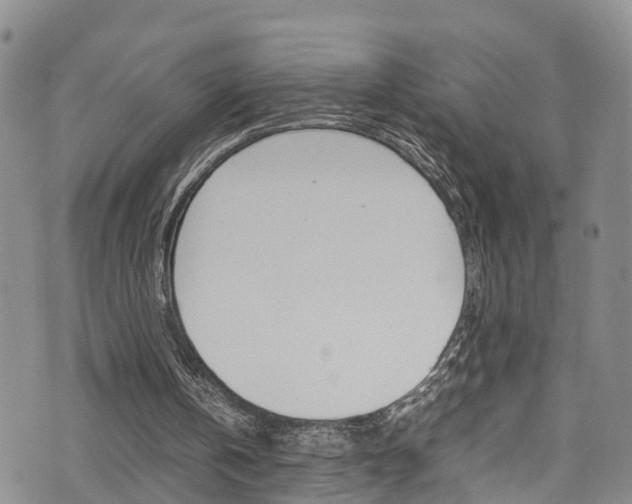 X0000072520146200607140946