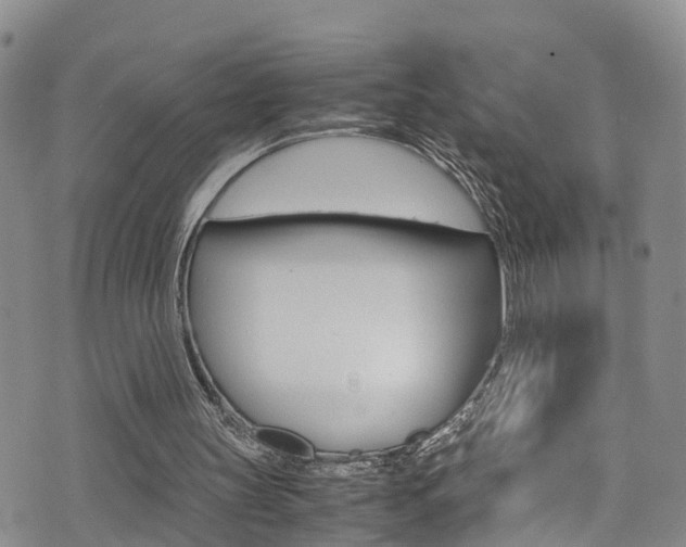 X0000072520147200607140946