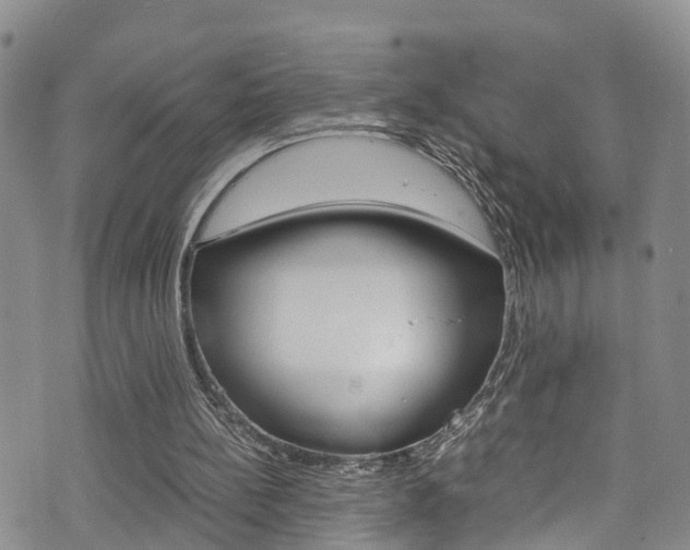 X0000072520148200607140946