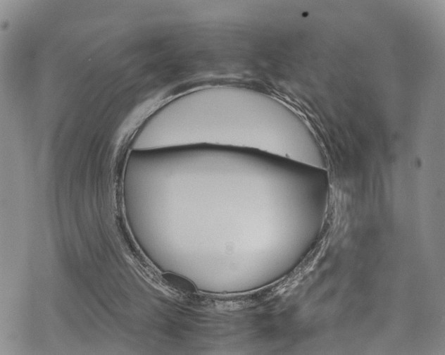 X0000072520149200607140946