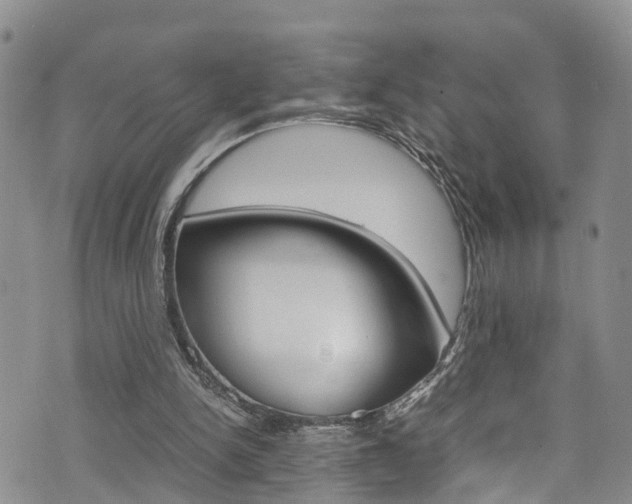 X0000072520150200607140946