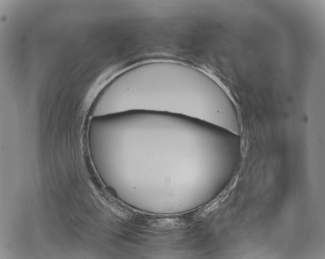 X0000072520151200607140946