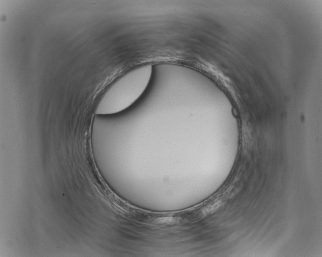 X0000072520153200607140946