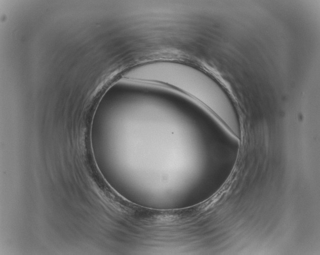 X0000072520154200607140946