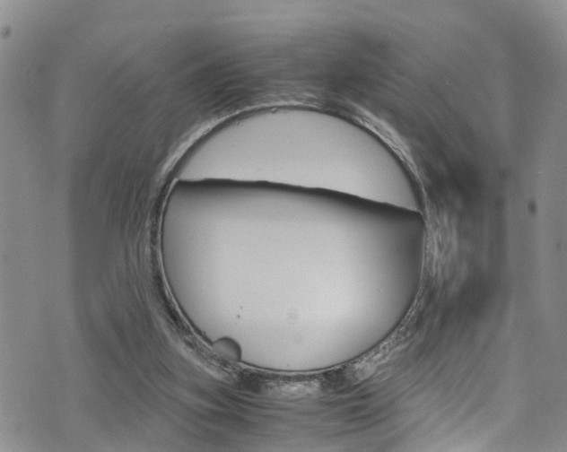 X0000072520155200607140946