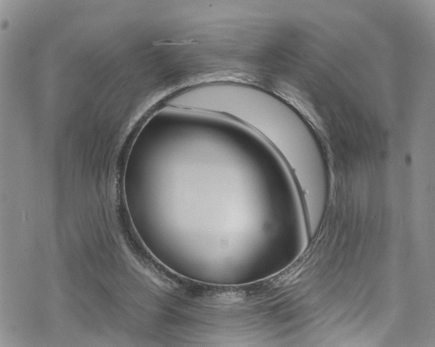 X0000072520156200607140946