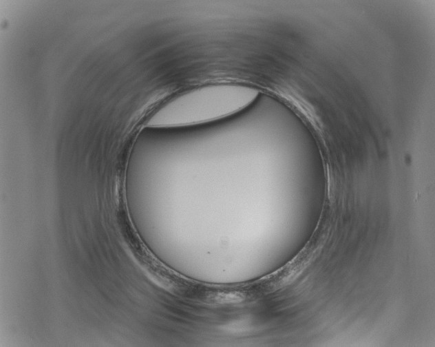 X0000072520157200607140946