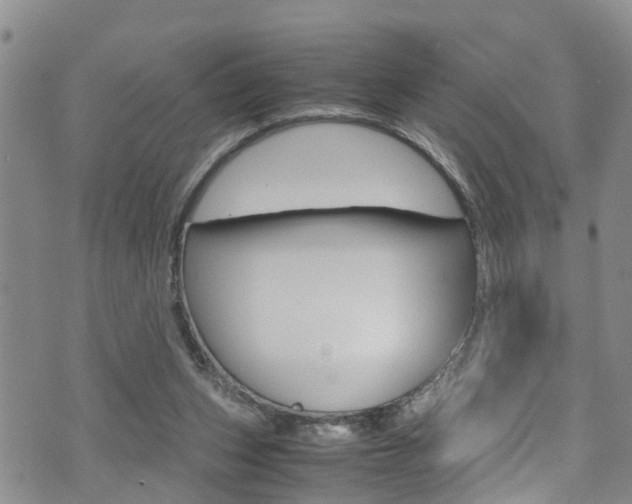 X0000072520159200607140946