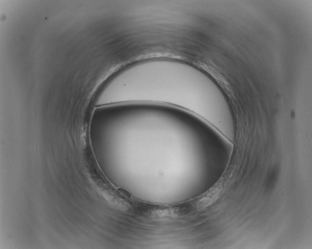 X0000072520160200607140946