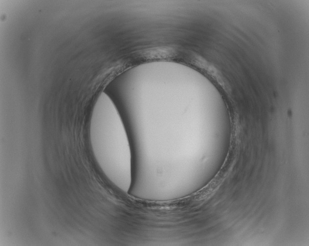 X0000072520161200607140946