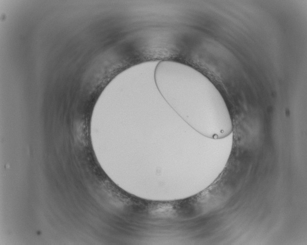 X0000072520162200607140946