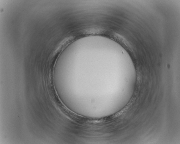 X0000072520163200607140946