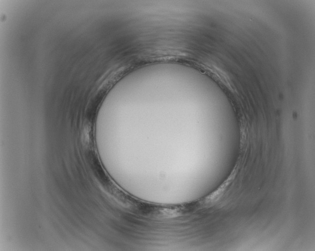 X0000072520166200607140946