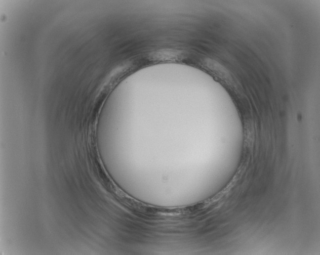 X0000072520167200607140946