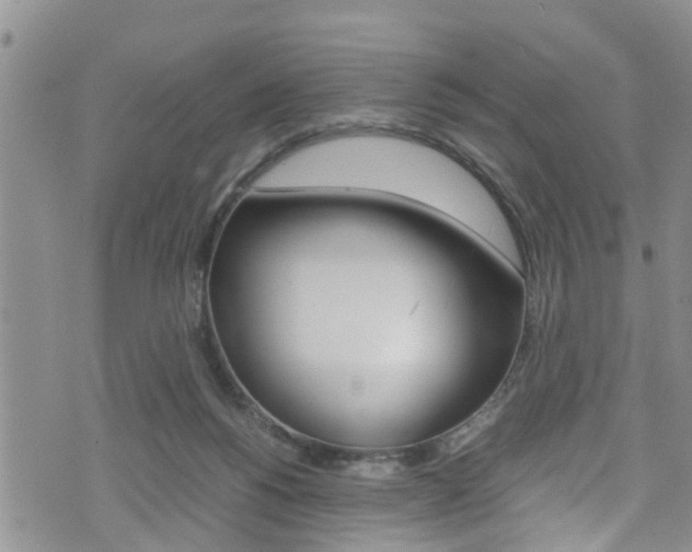 X0000072520168200607140946