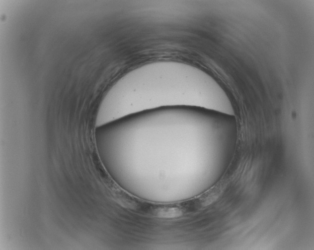 X0000072520169200607140946