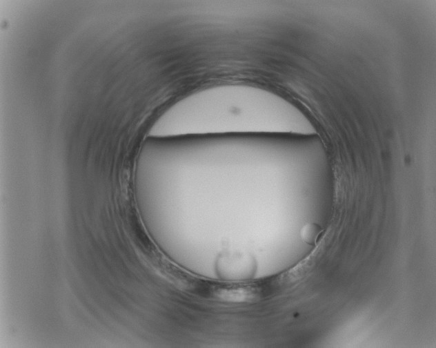 X0000072520171200607140946