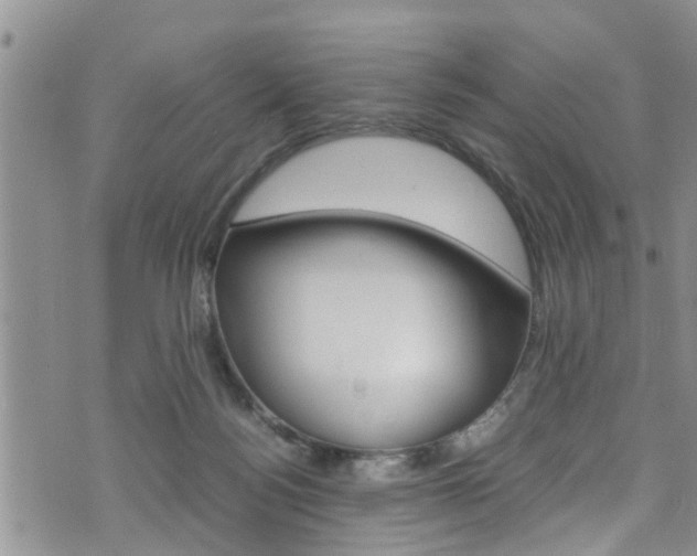 X0000072520172200607140946