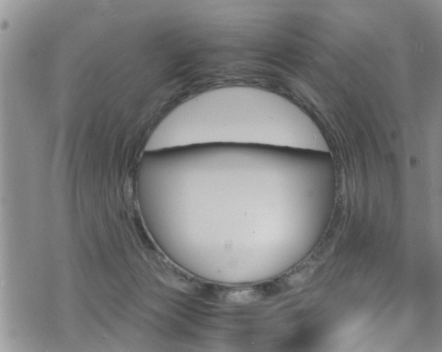 X0000072520173200607140946