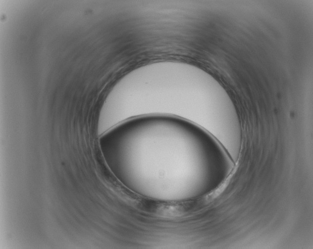 X0000072520174200607140946