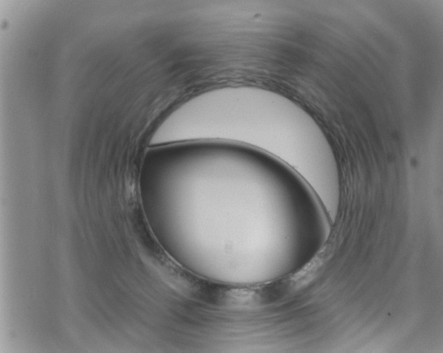 X0000072520176200607140946